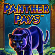 Fortune Black Panther